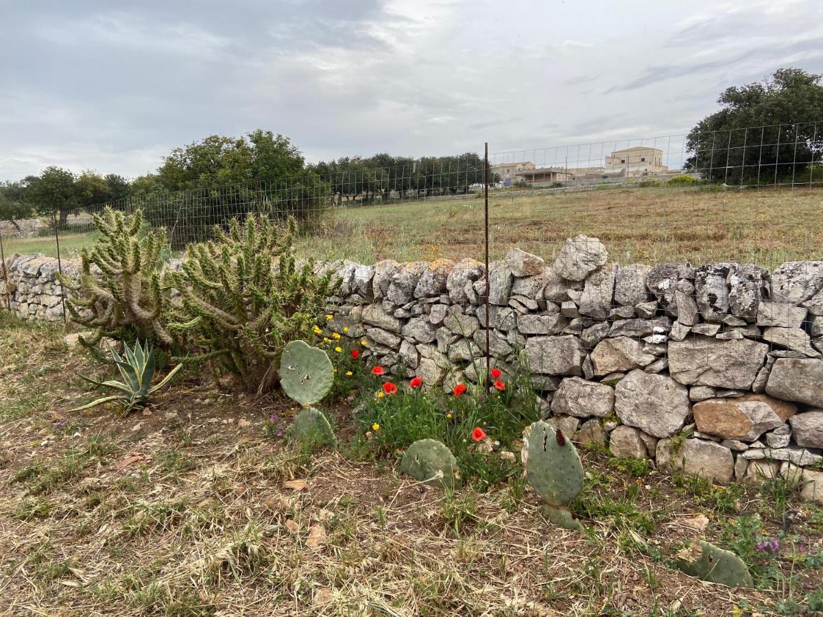 Villa Rifugio tra gli ulivi Marina di Ragusa Esterno foto